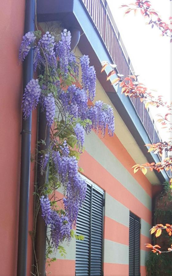 Residenza XX Settembre Lägenhet Maslianico Exteriör bild