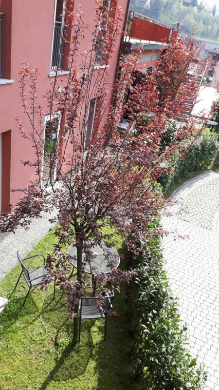 Residenza XX Settembre Lägenhet Maslianico Exteriör bild